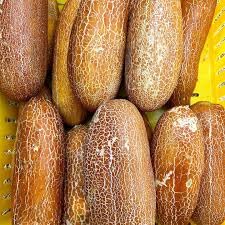 Korean Hybrid Cucumber Seeds for Garden Planter Indoor Outdoor Hydroponics Heirloom Non GMO