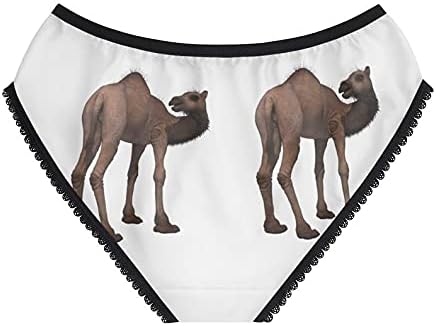 Camel Panties, Camel Underwear, Briefs, Cotton Briefs, Funny Underwear, Panties For Women