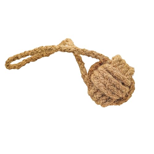 mascota casa - Natürliche Hundeseil Spielzeug aus 100% Kokosfaser – Nachhaltiges Kauspielzeug, Zahnpflege-Support beim Zahnwechsel, Robustes und Umweltfreundliches Hundespielzeug (Coco Ball, Large)