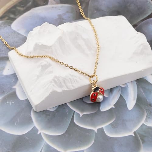 BEKECH Ladybug Necklace Good Luck Ladybug Daisy Pendant Necklace Good Luck Gifts For Friend Best Friend3