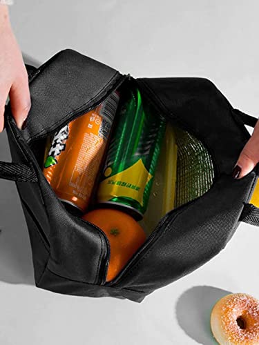 Image of HYLOL Insulated Travel Lunch /Tiffin /Storage Bag for Office, College & School (Black) (Cotton) 6 liters