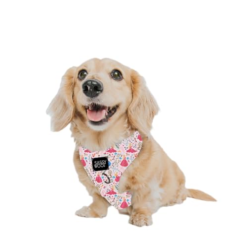 Sassy Woof Dog Adjustable Harness - Disney Princess Sleeping Beauty Aurora - XS, Breathable Mesh, No Pull Design with Two D-Rings, Perfect for Small Dogs - Officially Licensed