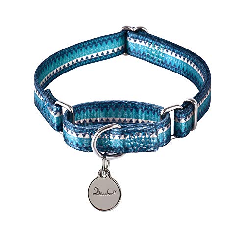 dazzber martingale collar
