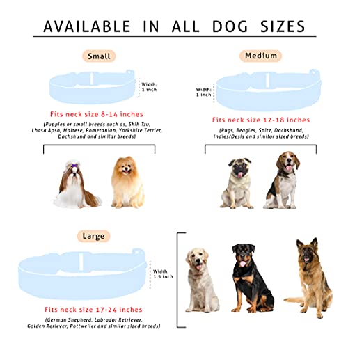 Image of Lana Paws Doga Fabric Dog Collar, Lightweight & Durable Belt for Medium Dog Breeds