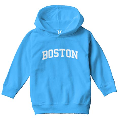 Haase Unlimited Boston - State Proud Strong Pride Toddler/Youth Fleece Hoodie2