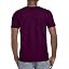 Brown (Maroon)
