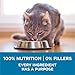 Purina ONE High Protein, Natural Senior Dry Cat Food, Indoor Advantage Senior+ - 7 Lb. Bag