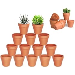 Maceteros Baratos HDKAJL 20 Mini Macetas para Flores de Terracota, con Necesidad de Drenaje, para Casas de Cactus y Suculentes Enteras (3.5x3 cm)