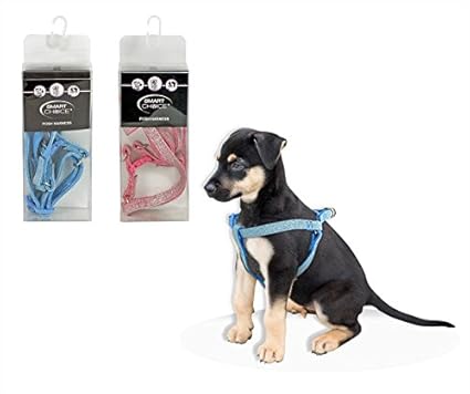 glitter dog harness