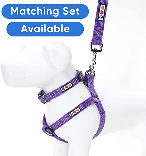 Pawtitas Small Reflective Adjustable Puppy Collar - Purple, Matching Leash and Harness Available - 5