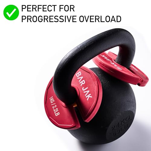 Image of Micro Plates. 1 KG / 2.2 LBS Dumbell Fractional Weight Plate, x4 Pieces, Dumbell Weights, Kettlebell weights Training, Strength Training Micro Plates Weight Plate