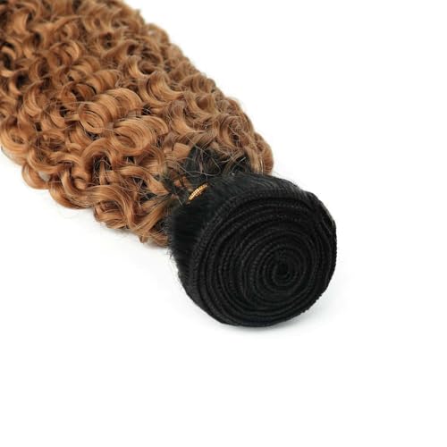 Light Brown Water Wave Bundles Human Hair T1B/30 Ombre Bundles Double Weft Brazilian Human Hair Sew-In Weave Extensions 24 26 28 Inch（Black Ombre Light Brown） — view 2