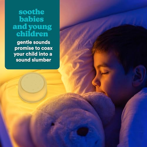 Homedics SoundSleep Aura Machine de Bruit Blanc, Aide au Sommeil – vue 3