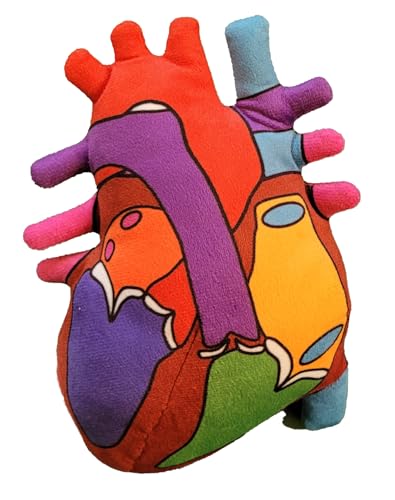 Giant Microbes GMUS-XL-2360 Giantmicrobes Anatomical Heart Plush, Human Heart Model, Heart Anatomy Model thumb #8