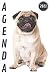 Produktbild Agenda 2021 Cane: Pianificatore Settimanale A5 | mensile 12 mesi da gennaio 2021 a dicembre 2021 due pagine per settimana | Regalo per Gli Amanti dei Cani ragazzo uomo donna