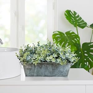 Winlyn Faux Eucalyptus Plants in Rustic Galvanized Metal Rectangular Planter Farmhouse Greenery Arrangement Artificial Eucalyptus Potted Plants for Home Office Table Centerpiece Mantel Shelf Décor Winlyn Faux Eucalyptus Plants in Rustic Galvanized Metal Rectangular Planter Farmhouse Greenery Arrangement Artificial Eucalyptus Potted Plants for Home Office Table Centerpiece Mantel Shelf Decor
