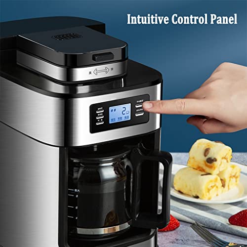 ADLOF Filterkaffeemaschine für 8 Tassen, Automatische Kaffeemaschine Mahlen und Brühen, Elektrische Kaffeemaschine mit… – Bild 4