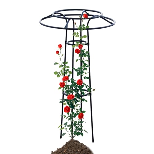 Support d'escalade de fleurs forme parapluie pour jardin et patio - 2
