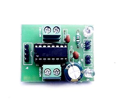 Rambutan Motor Driver 1.10