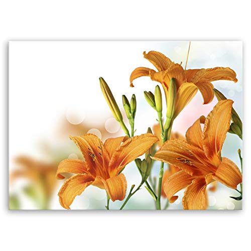 ge Bildet Bild auf Leinwand | Orchidee in 70x50 cm als Wandbild | Wand-deko Dekoration Wohnung modern Bilder | 1299 Cover