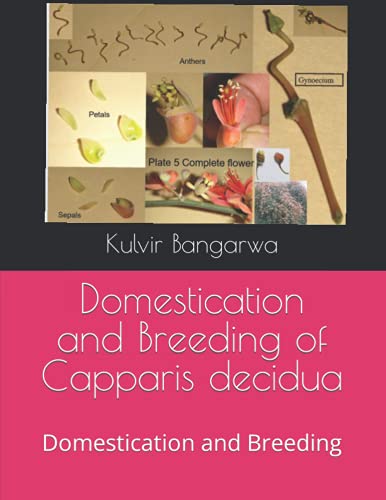 Domestication and Breeding of Capparis decidua: Domestication and Breeding (Forestry Books, Band 2)