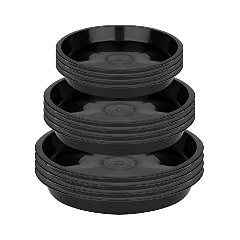 LUTER 12 Piezas Platillos para Plantas Cover