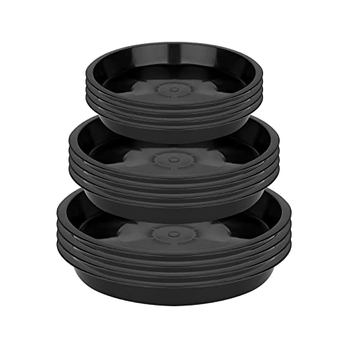 LUTER 12 Stück Pflanze Untertassen, 11,5/16/18 cm Kunststoff Blumentopf...