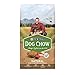 Purina Dog Chow Natural, High Protein Dry Dog Food, Natural - 4 lb. Bag
