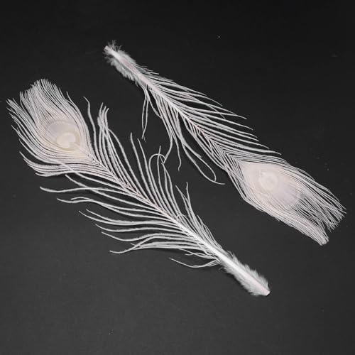 Plumas de pavo real para centros de mesa elegantes en banquetes y eventos pack de 250 6