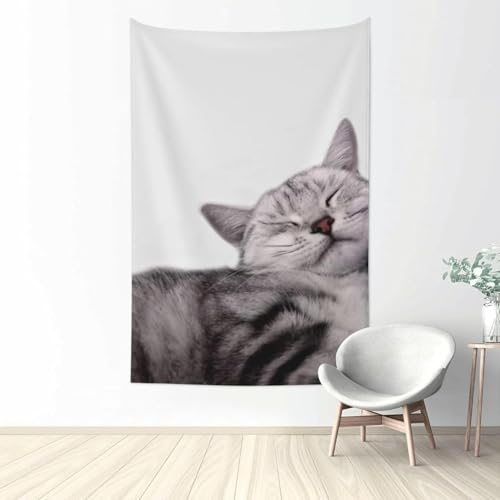 Aj wizӂ҂̔L ^yXg[ t@ubNǏ v[g pi z[  |X^[