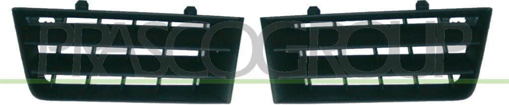 RN4202000 Radiator Grille