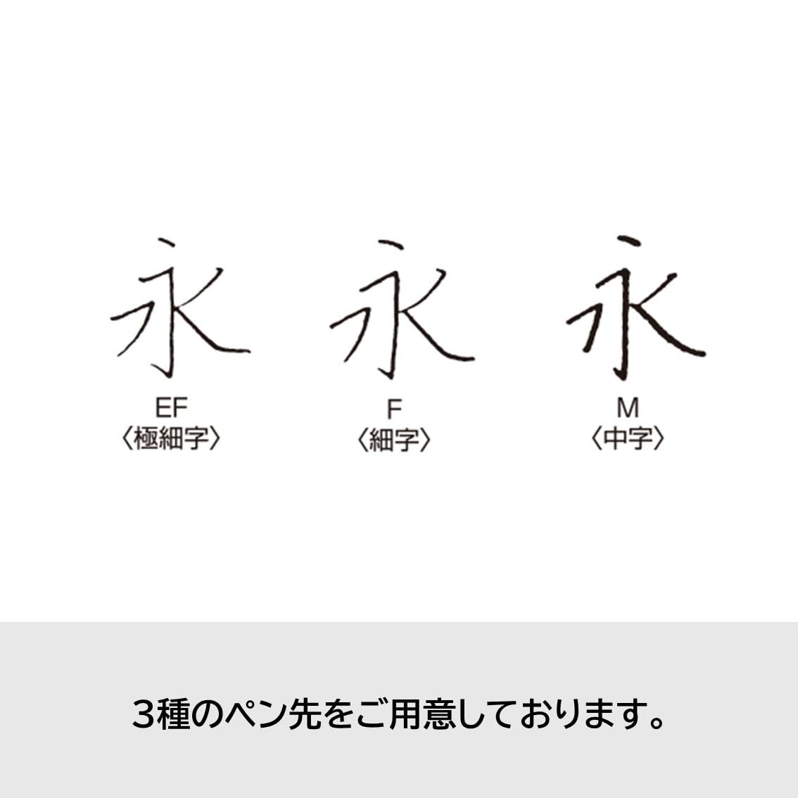 Amazon | PILOT 万年筆 キャップレス 木軸 F ファイン(細字) ブラック