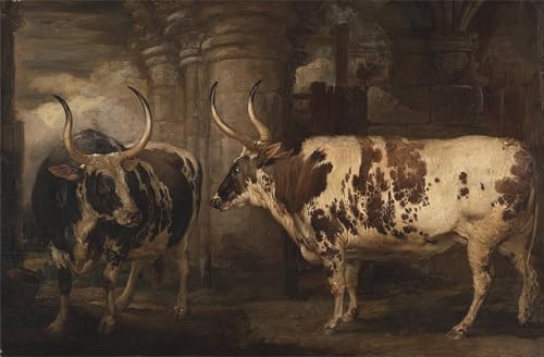 Peinture sur toile haut de gamme portraits bœufs du comte de Powis