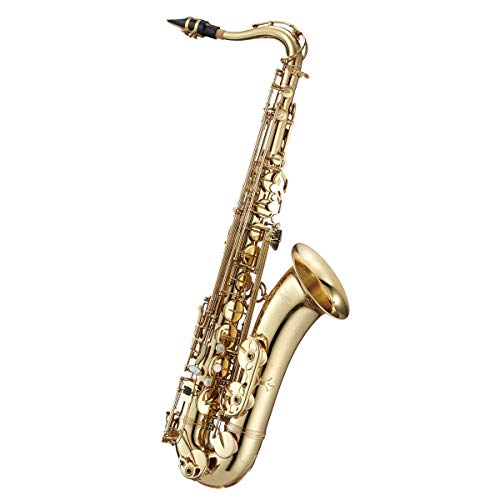 Antigua AeBOA G42 Tenor saxophone ei[TbNX PROV[Y