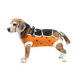 E-Collar Alternative for Cats and Dogs: After Surgey Wear. Recommended by Vets (X-Small, Orange)