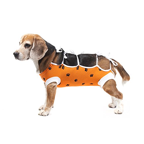 E-Collar Alternative For Cats And Dogs: After Surgey Wear. Recommended By Vets (X-Small, Orange) #TOP4