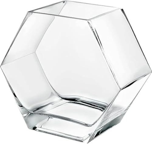Runsweat小型1リットル金魚(苔と六角ガラスポット付き)、ガラスメダカと飼育セット(水耕栽培台、室内用花瓶付き)、クリエイティブな卓上金魚