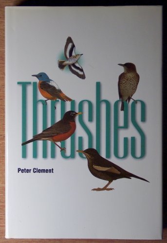 Thrushes view 2