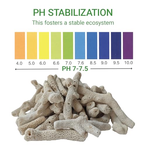 Image of 1.1lb /500g Crushed Coral, Natural Fish Tank Crushed Coral, Crushed Coral Filter for Freshwater Aquarium Ph Aquarium Bio Filter Media Bag Reusable Aquarium Filter