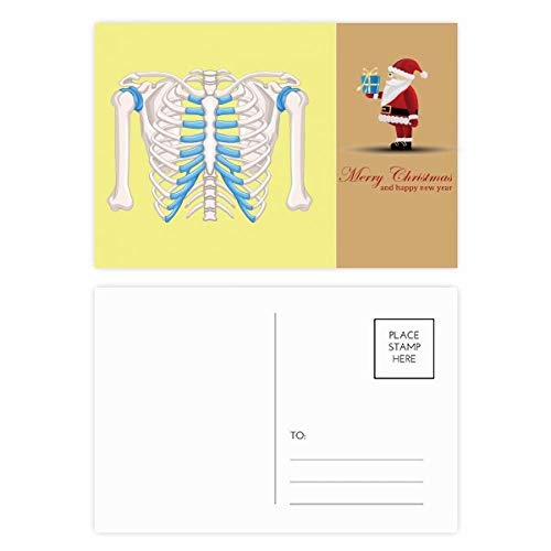 Rib Thoracic Medical Illustration lot 20 cartes postales Père Noël papier épais écriture fluide