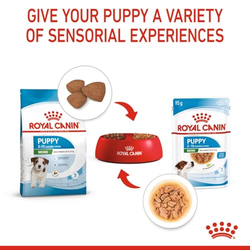 Image of Royal Canin Mini Puppy, Wet Gravy Food Pouch, Pack of 48 Pieces, Supports Teeth Texture, Immunity System & Brain Development