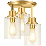 Semi Flush Mount Ceiling Light, 3-Light Close to Ceiling Light Fixtures, Brass Gold Finish Kitchen L