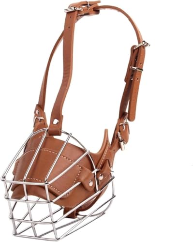 Yellowantg[jOA\A֕یASŖŁAށAr߂Aîh܂ (L,uE)