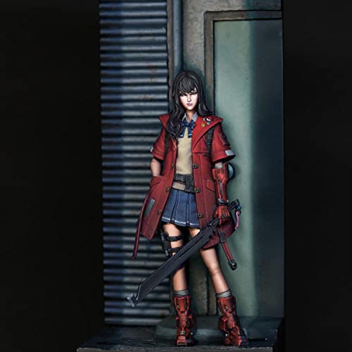 Figura de resina 1/24 Sadashi The Raider sin montar miniatura 1