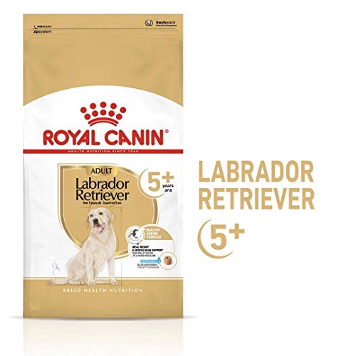 ROYAL CANIN Labrador Retriever Adult 5+ - 12 kg