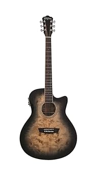 Amazon.com: Washburn Deep Forest Burl 6 String Acoustic