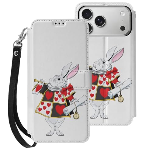 iPhone17ProMaxpP[X 蒠^ svc̍̃AX ACtH17ProMaxpP[X 蒠^ z^ X}zP[X PUU[ J[h[ X^h@\ Xgbvt Sʕی gуJo[