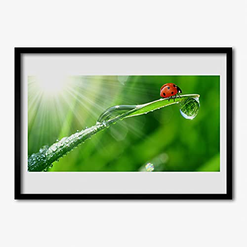 Affiche avec cadre herbe nature Tulup résolvant le manque de verdure dans le salon