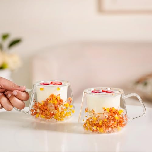 Image of Nestasia Double Wall Glass Mug with Dried Flowers Set of 2 (180ml Each) - Transparent Borosilicate Floral Glass Tea Cups | Lightweight & Durable Coffee Mugs - Perfect for Gifting (Yellow & Orange)