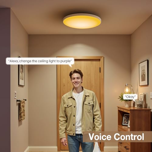 Smart Ceiling Light with Music Speaker